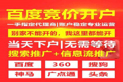探索sem公司的策略与效果